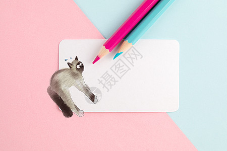 彩色铅笔与猫的创意图片图片