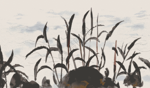 传统画中国风端午节粽子 GIF高清图片