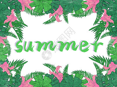 summer夏天植物花卉背景矢量扁平插画图片