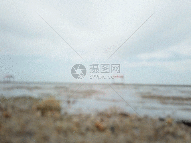 gif动图 实景动图  低视角湖边近景gif.gif 667_500