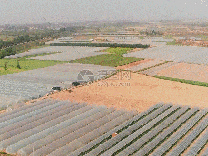 农业大棚4K航拍GIF图片