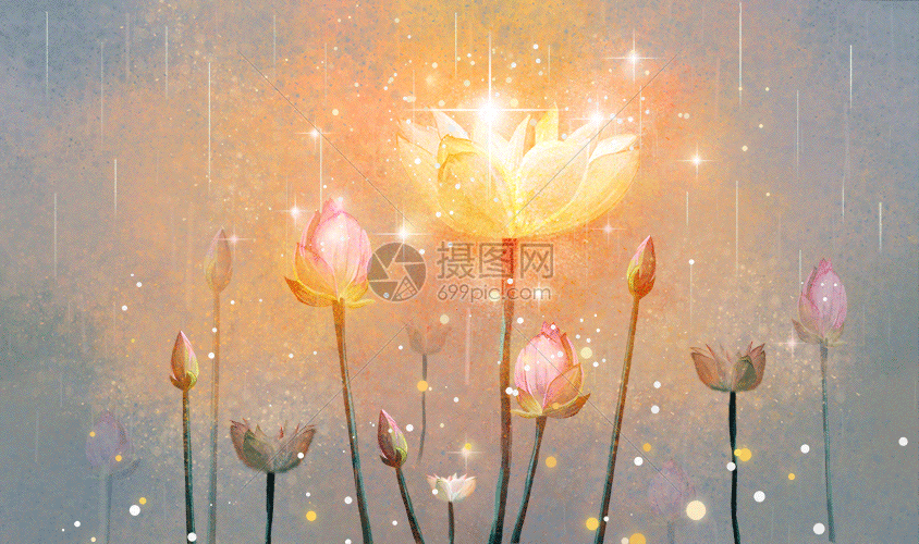 荷花插画gif动图动图图片-正版gif素材401340648-摄