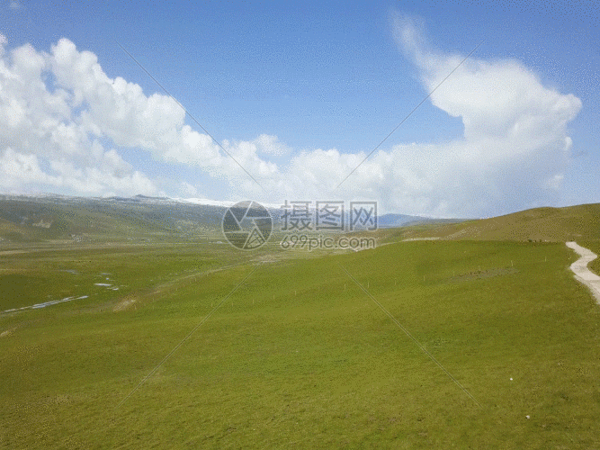 gif动图 实景动图  草原gif.gif 667_500
