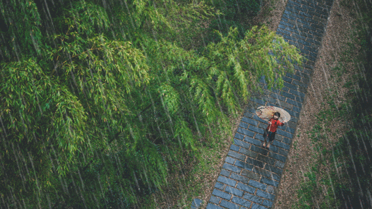 唯美雨天竹林中国风小女孩gif高清图片