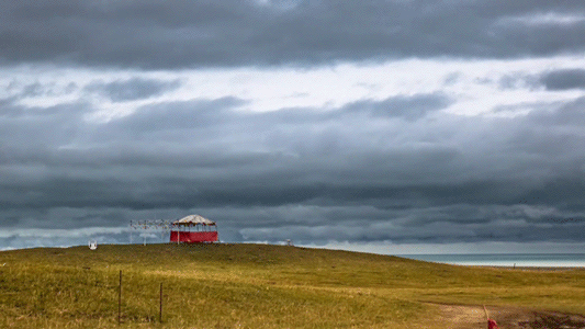 青海湖岸边的牧场gif动图