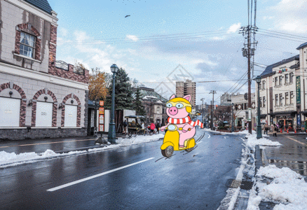 日本冬天骑摩托车旅行的小猪  GIF高清图片