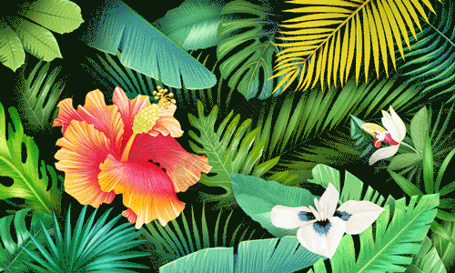 植物元素花卉植被元素插画gif动图高清图片