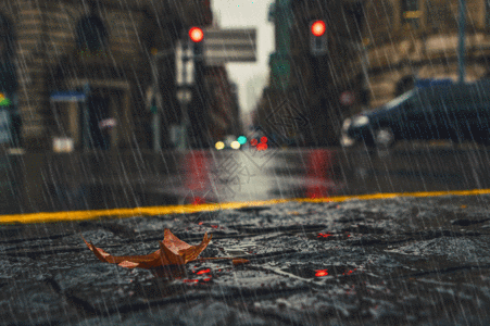 落叶倒影雨中城市gif高清图片