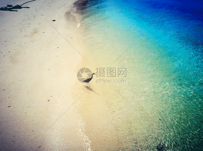 风景gif动图图片-正版gif素材401379821-摄图网