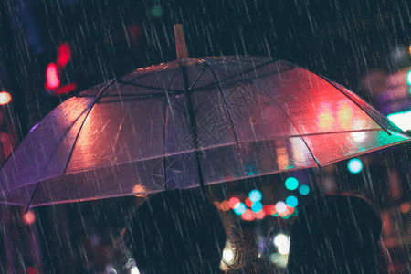 下雨桃花gif图片
