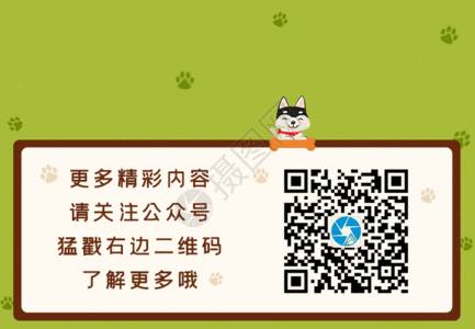 元旦素材大全卡通手绘狗狗清新个性微信二维码引导关注GIF高清图片