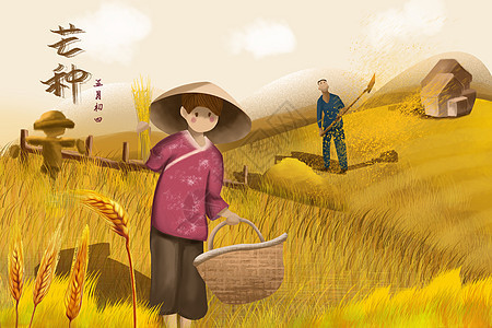 芒种节气农民收获种植麦穗图片