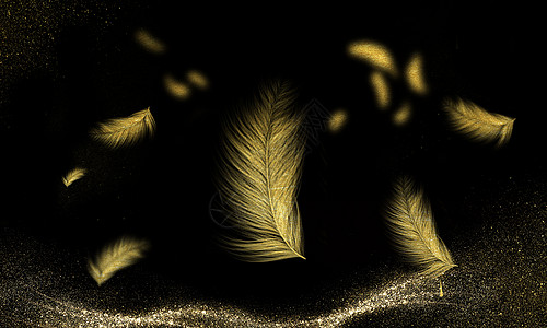 金色羽毛背景设计图片