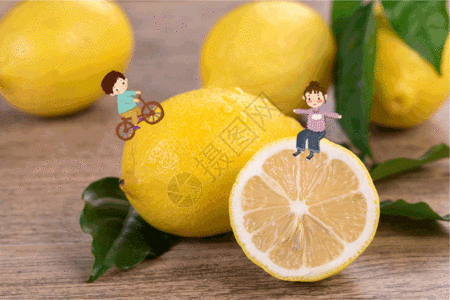 免费下载         收藏成功 vrf高清图片 柠檬水果创意图gif