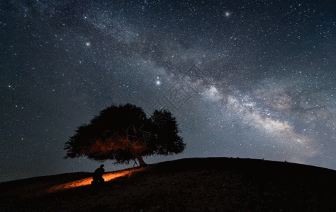 山上树星空银河夜景gif高清图片