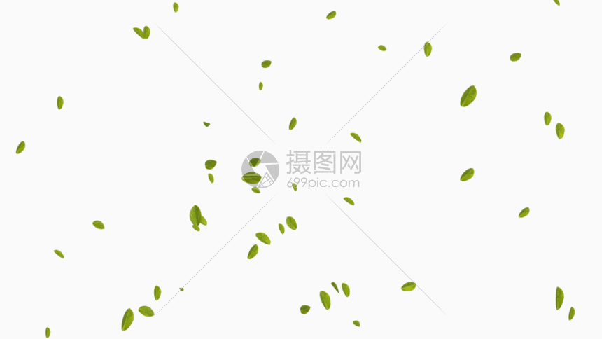 落叶飘落效果GIF 第1页