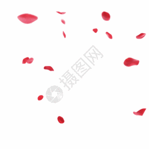 红色飘舞下落的花瓣gif图片