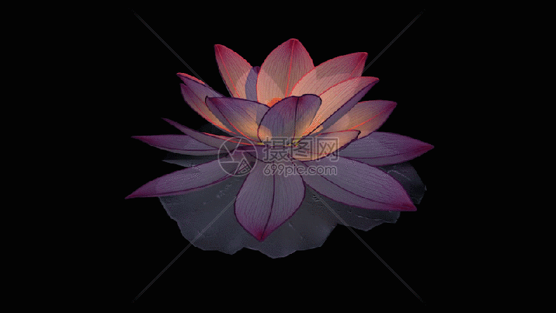 三维荷花gif动图图片-正版gif素材401397768-摄图网