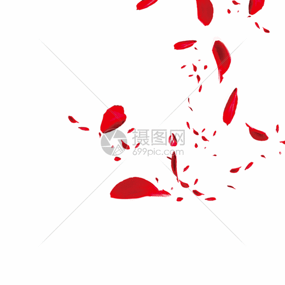 标题为          漂浮的玫瑰花瓣gif,编号: 401402039,格式: psd,gif