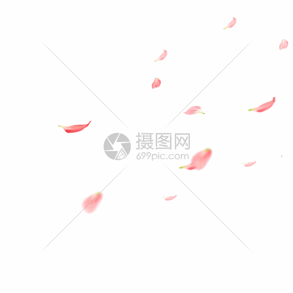 花瓣gif动图图片-正版gif素材401402079-摄图网