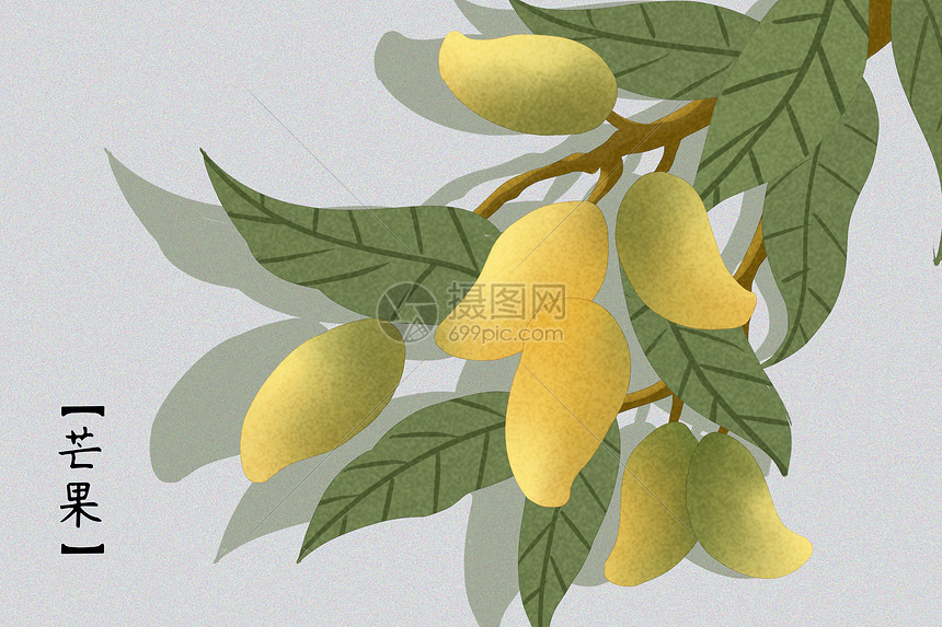 芒果插画