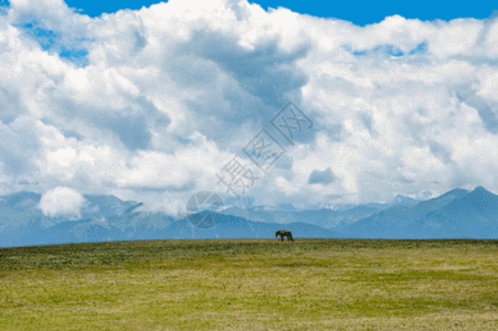 新疆天山牧场美景gif动图图片