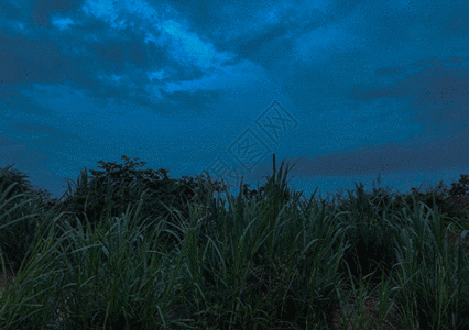 傍晚夜空暴风雨前深蓝忧郁草丛gif动图高清图片