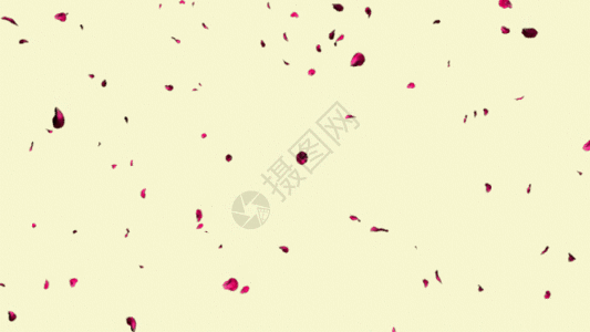 花瓣飘落GIF图片