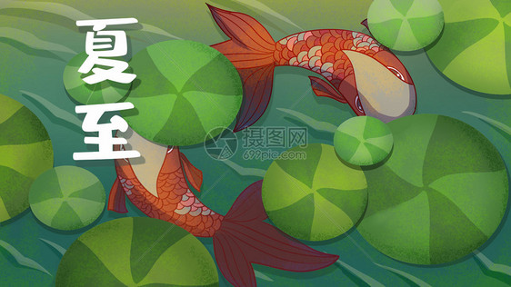 24节气夏至鱼游浅水创意插画图片