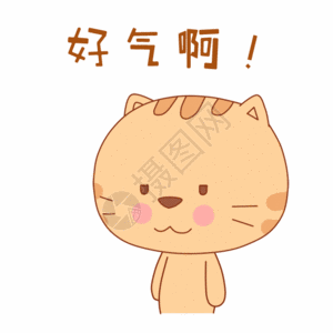 讲师海波啊小肥猫表情包gif高清图片