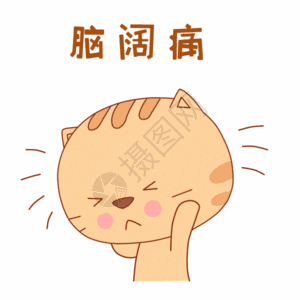 小成本创业小肥猫表情包gif高清图片