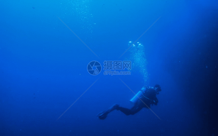 gif  摄图网为您提供  gif动图 正版 gif动态图片下载,该  gif动态