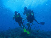 水肺潜水gif图片