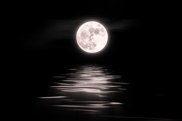 青海湖月夜gif动图