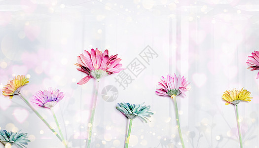 花朵梦幻背景图片