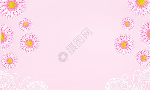 粉色菊花背景图片