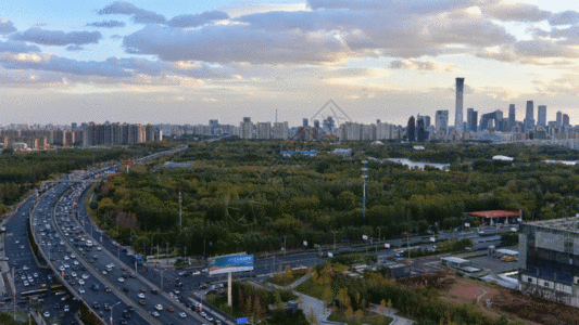 北京城市CBD森林公园延时摄影GIF高清图片