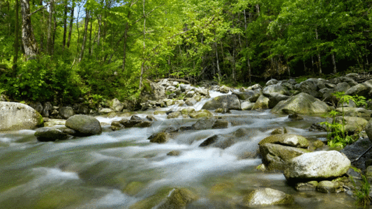 小桥流水延时山涧溪水GIF高清图片