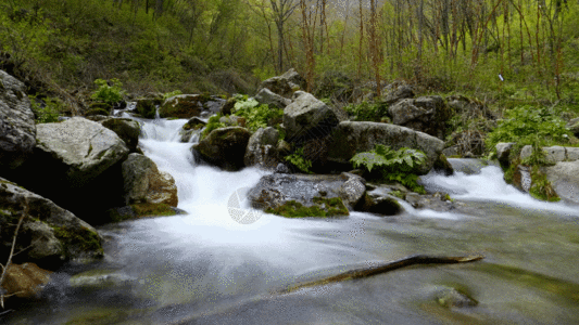 小桥流水延时山涧溪水GIF高清图片