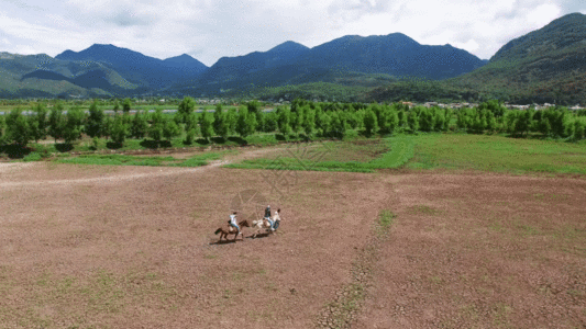 奔跑的马湿地草原骑马GIF高清图片