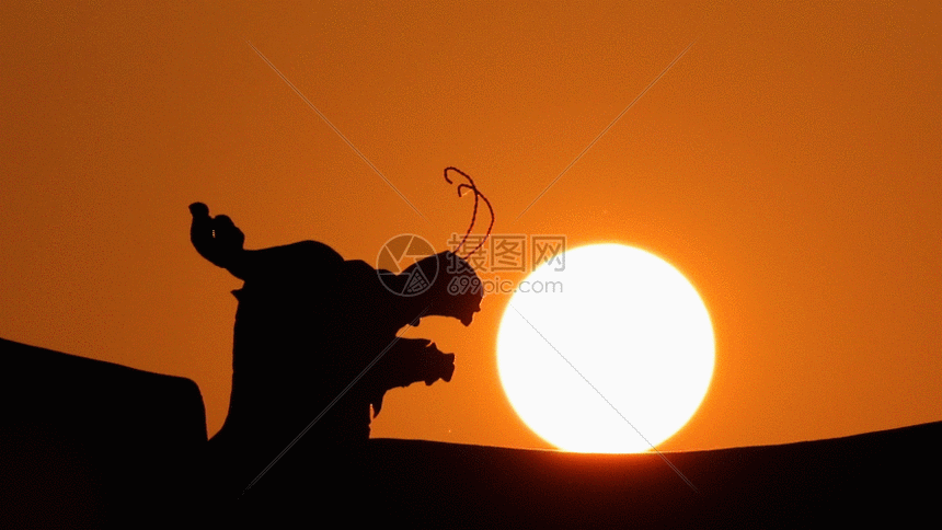 gif动图 实景动图  建筑日落延时gif.gif