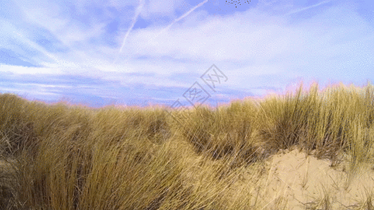 蓝天白云荒草沙漠GIF图片