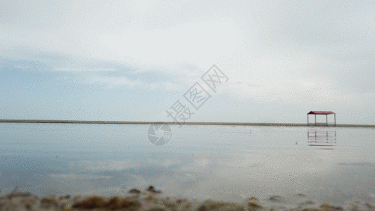 青海湖上的飞鸟GIF图片