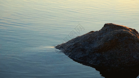 保护水资源新疆赛里木湖水面波纹石头GIF高清图片