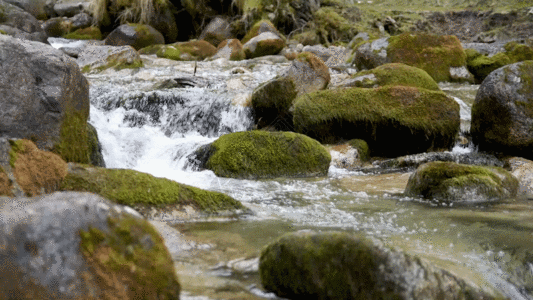 保护水资源山涧溪流流水水资源森林GIF高清图片
