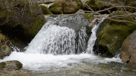 保护水资源山涧溪流流水水资源森林GIF高清图片