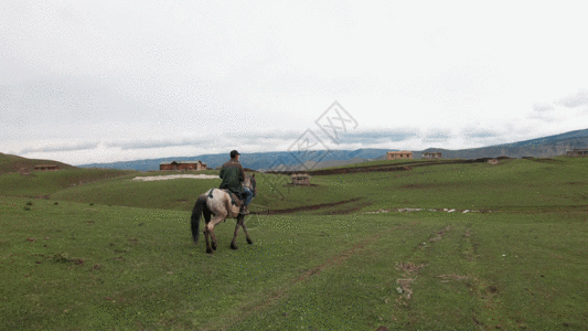 新疆天山牧场牧民骑马生活牲畜马匹GIF图片