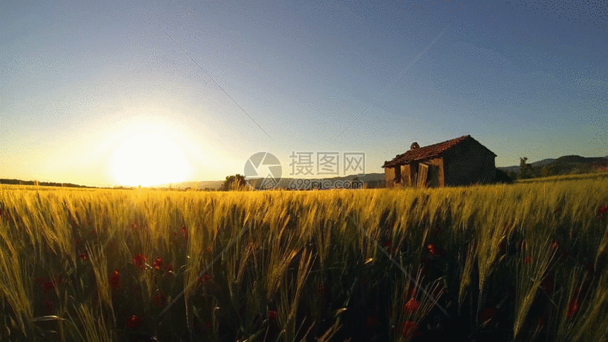 夕阳农田gif动图图片-正版gif素材401448377-摄图网