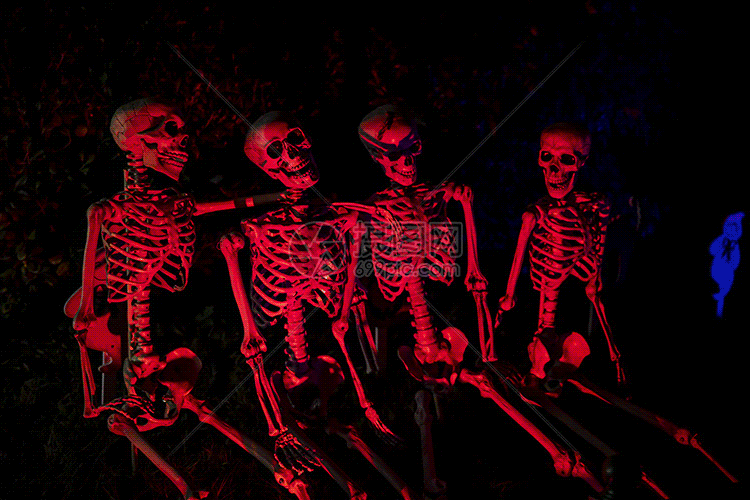 万圣节气氛gif动图