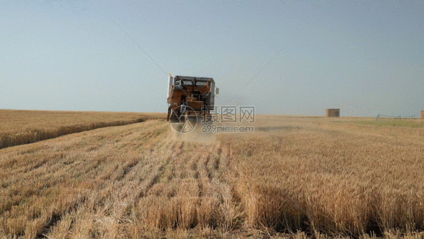 收割麦田gif动图图片-正版gif素材401462974-摄图网